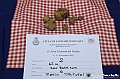 VBS_6520 - Fiera dei Santi - 12.ma Fiera Nazionale del Tartufo